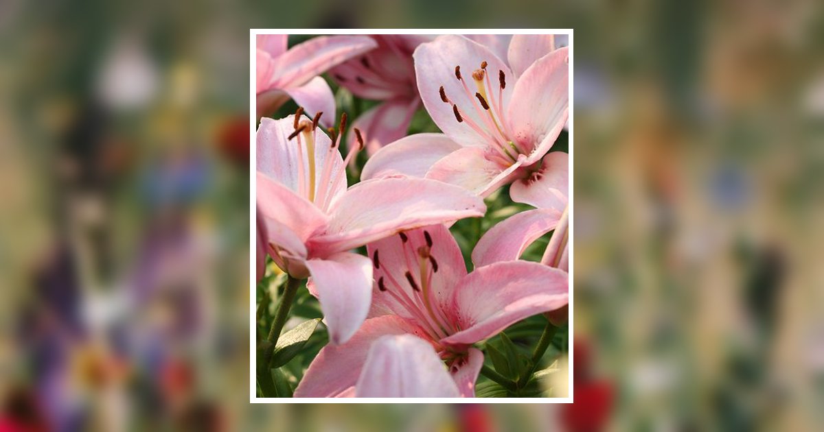 Sonya G. Allison Obituary, Inverness, FL
