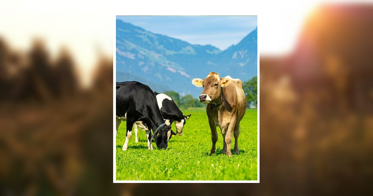 Jerrel D Hanna Obituary, Cleburne, TX