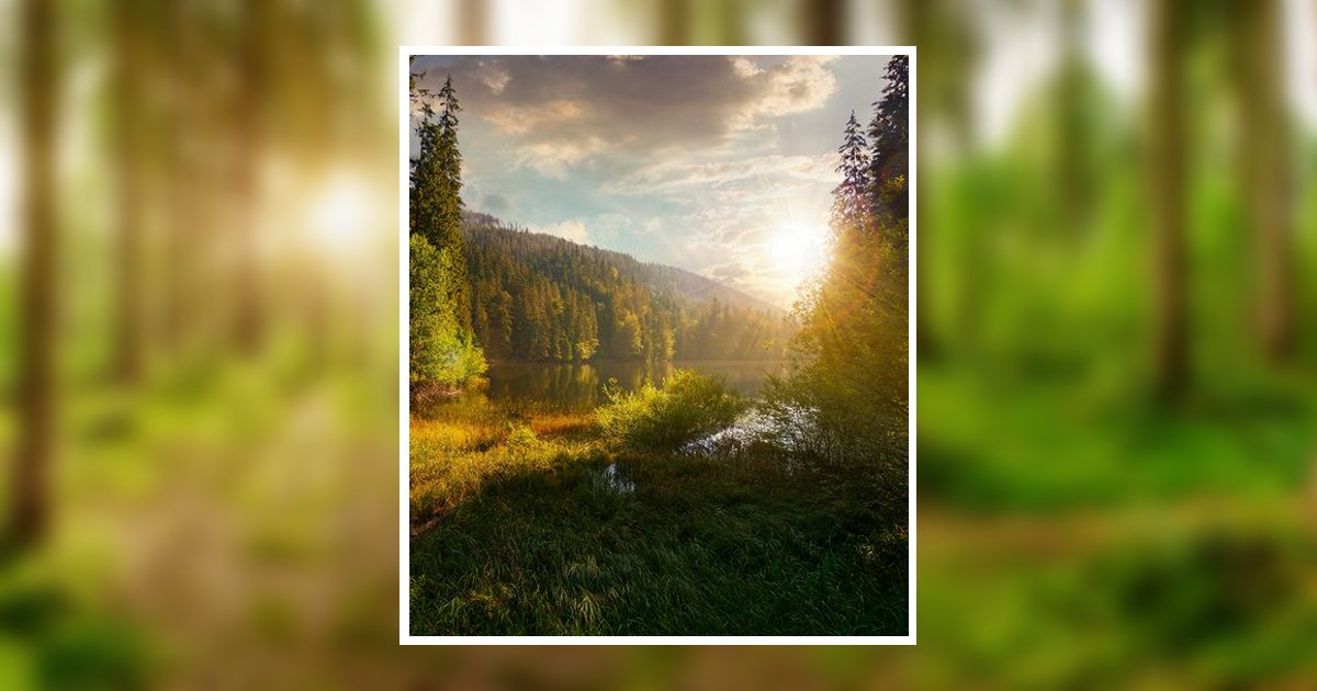 Charles Albert Stewart Obituary, Barrington, IL