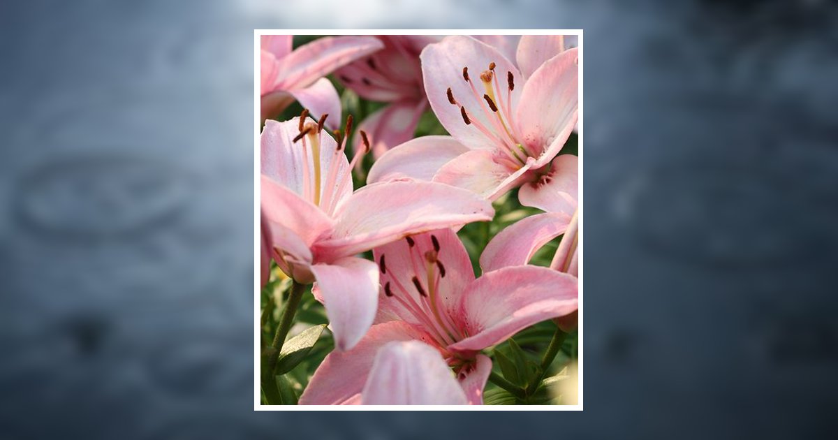 Kimberly Wood Obituary, Raleigh, NC