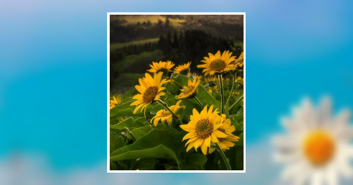 Erma Sanders Summerhill Obituary 2024 Jordan Funeral Home