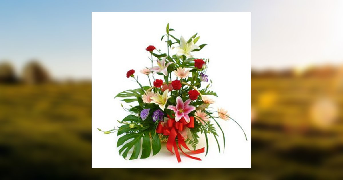 Ferdinand D. Costanzi Obituary, Frackville, PA