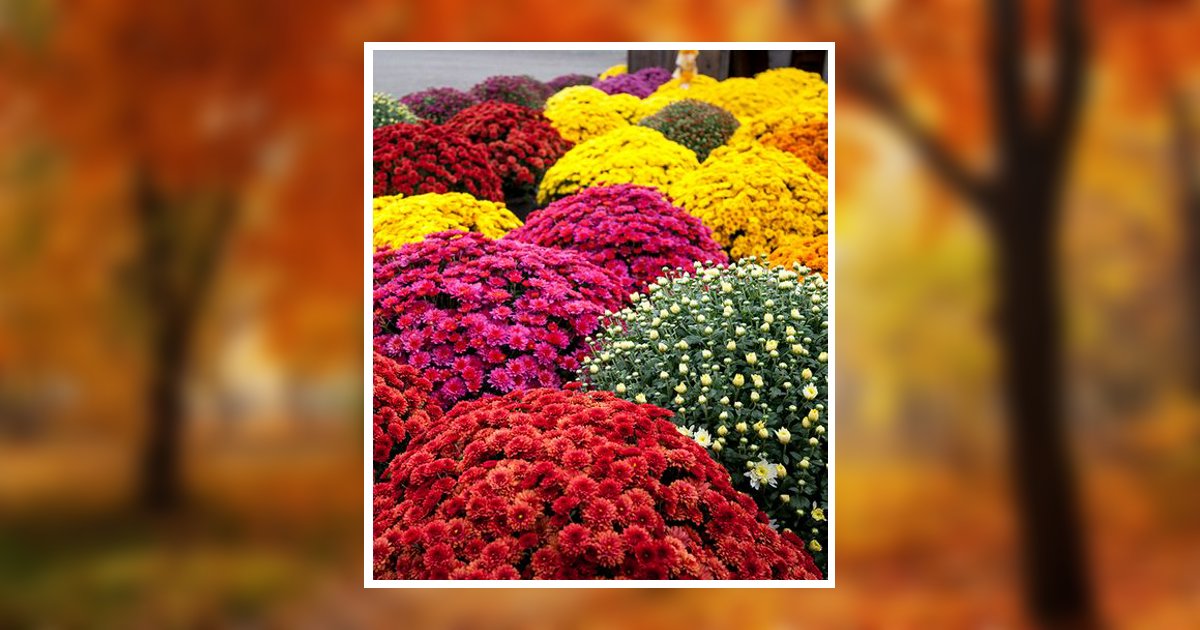 Joann Robinson Obituary, Lewisburg, WV