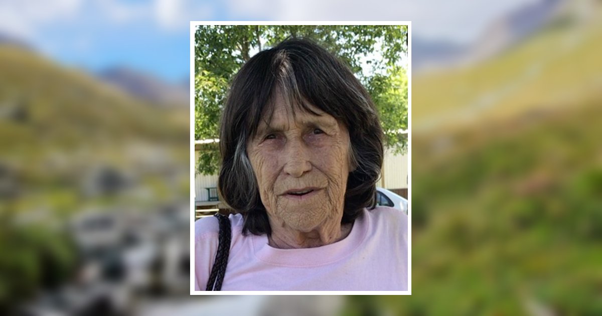 Nevada Carol Bryant Obituary, Pine Knot, KY