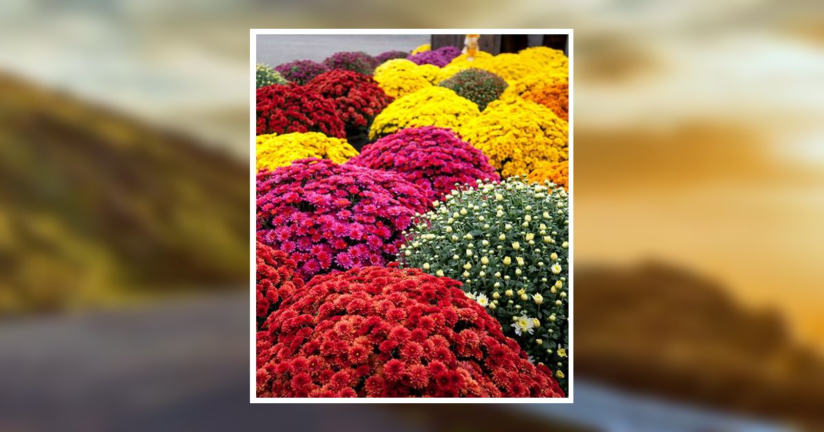 Judy Hardeman Murphy Obituary, Columbus, GA