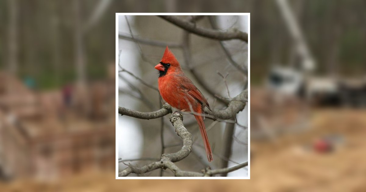 Joseph Larue Evans Obituary, Boaz, AL