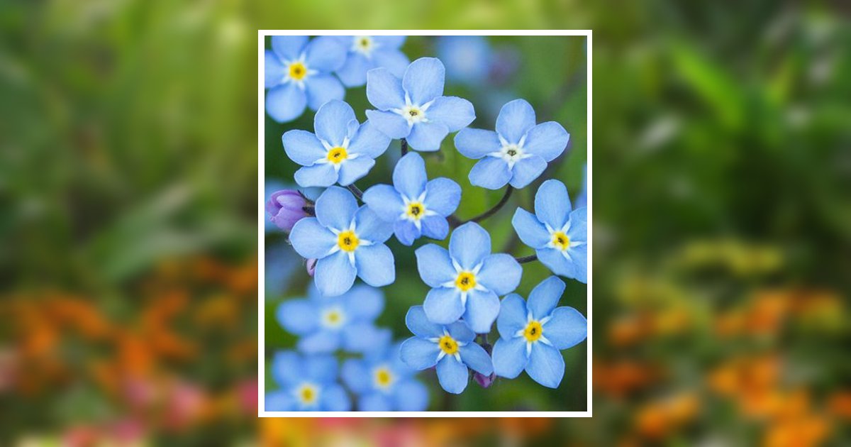 Diane Howard Fergus Falls, MN Obituary