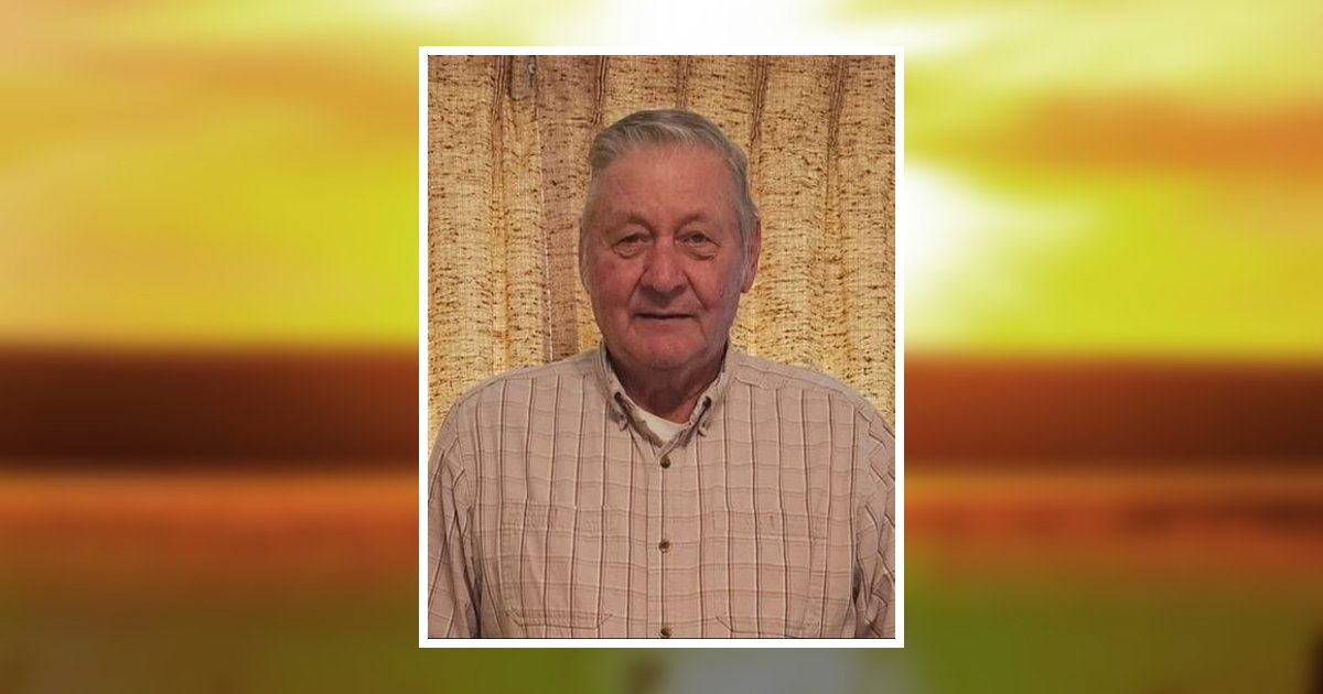 Louis Fantin Obituary, Dover, OH