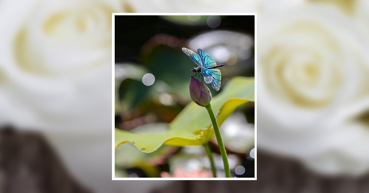 Agnes Burkes Kosciusko, MS Obituary