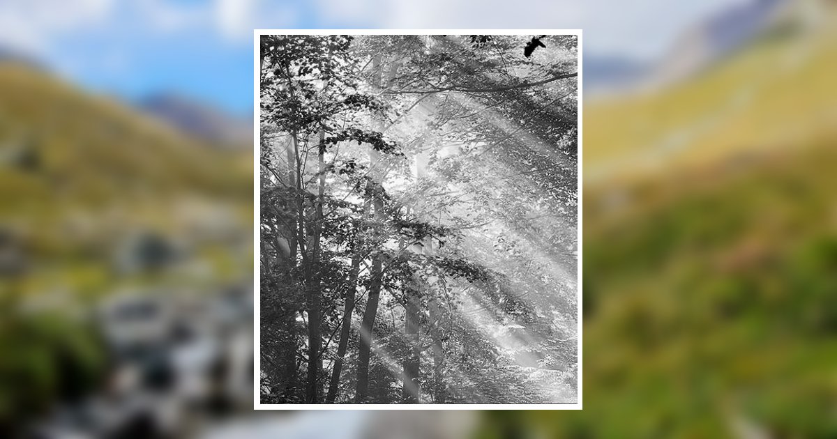 James Allan Griffiths Obituary, Prescott Valley, AZ