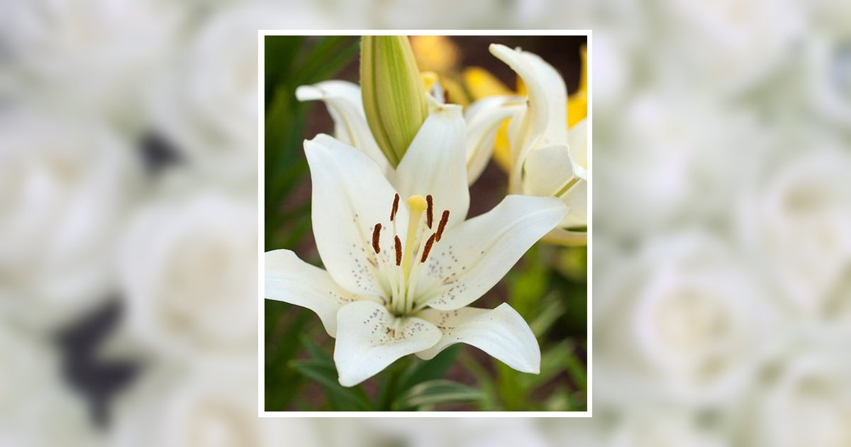 Portrait of Sajuan Temeika Giles