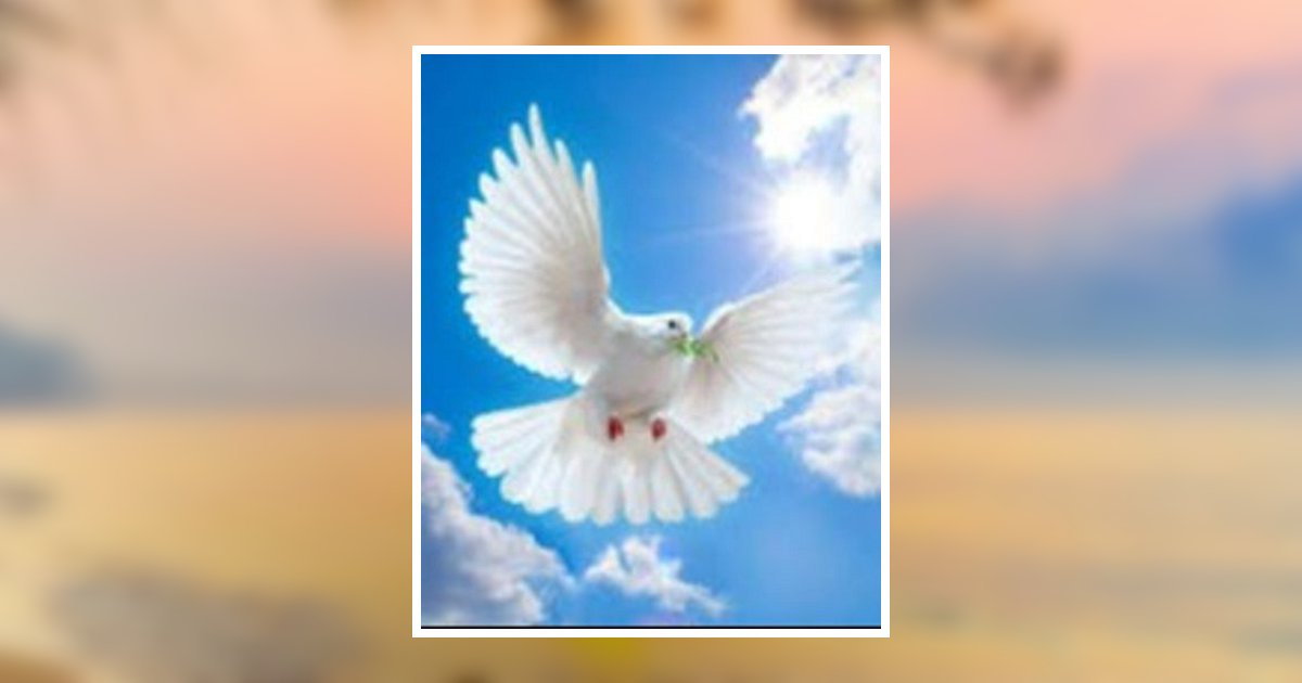 Deanna Sue Patton Farrah Obituary, Ocean Springs, MS