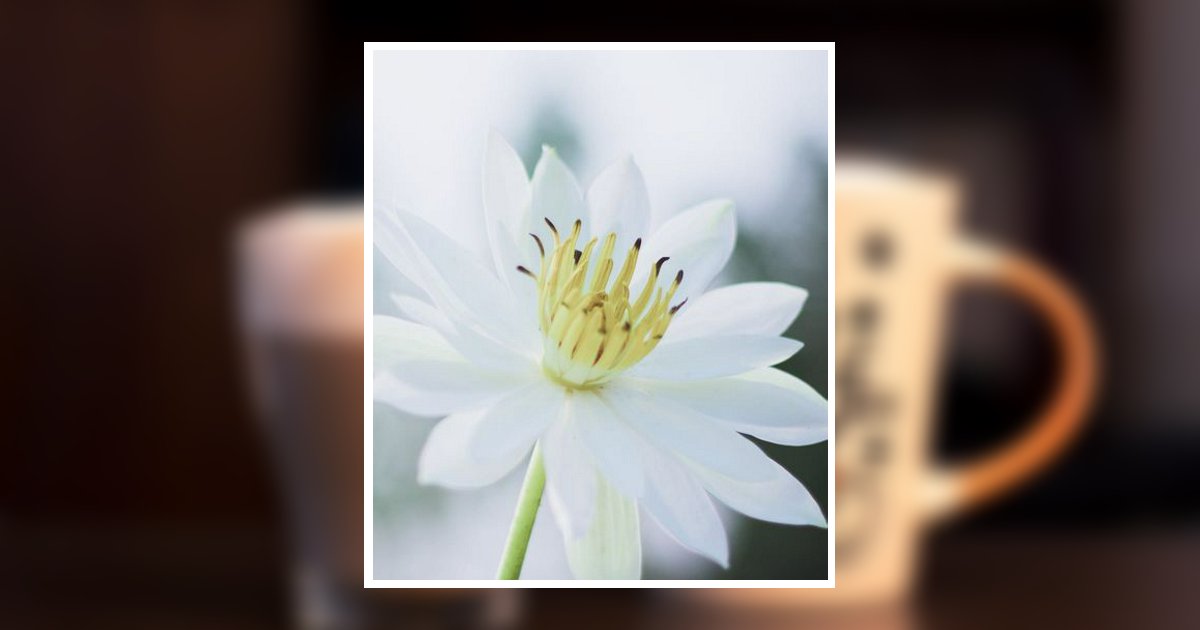 Janice Catherine Mcmillan Obituary, Fort Pierce, FL