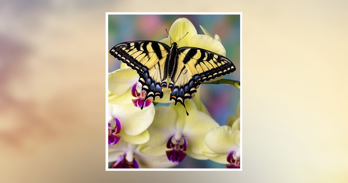 Blanche Yoshiko Kaneshiro Obituary, Schertz, TX