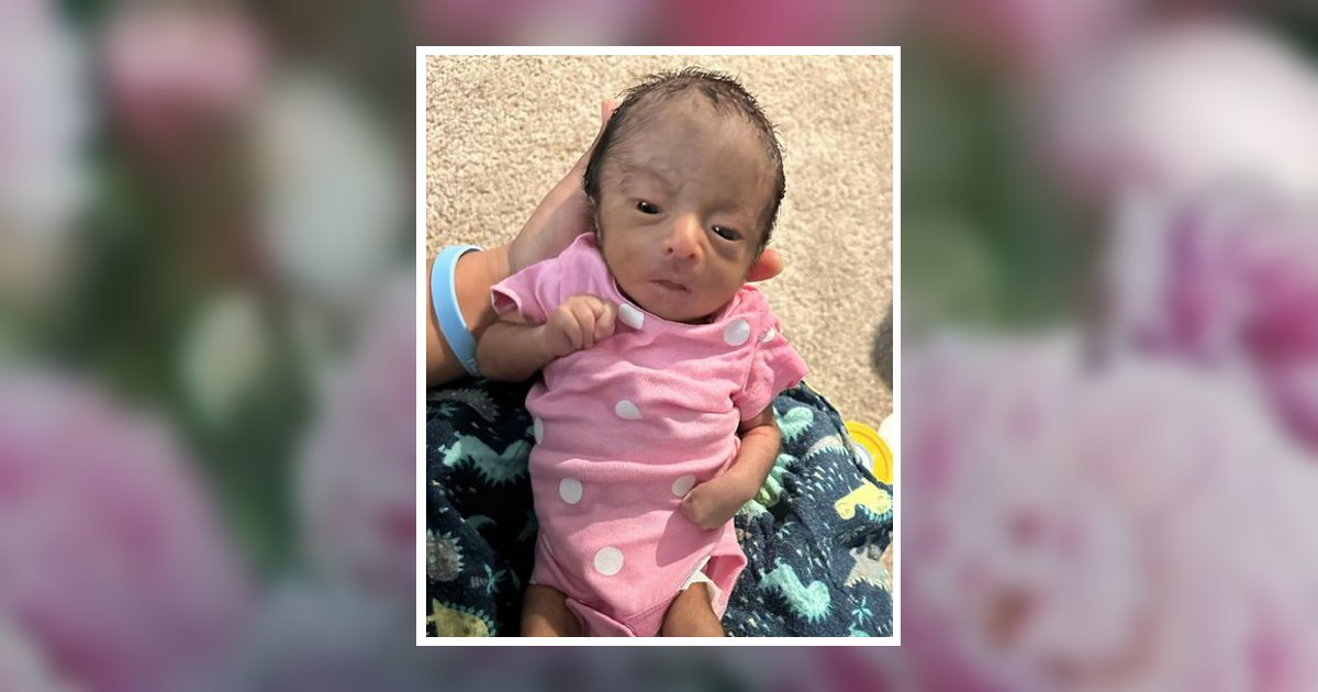 Violetta Mejia Camirio Obituary, Huntersville, NC