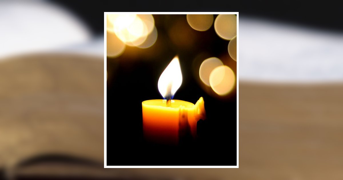 Sherry A. Bertola Belle Vernon, PA Obituary