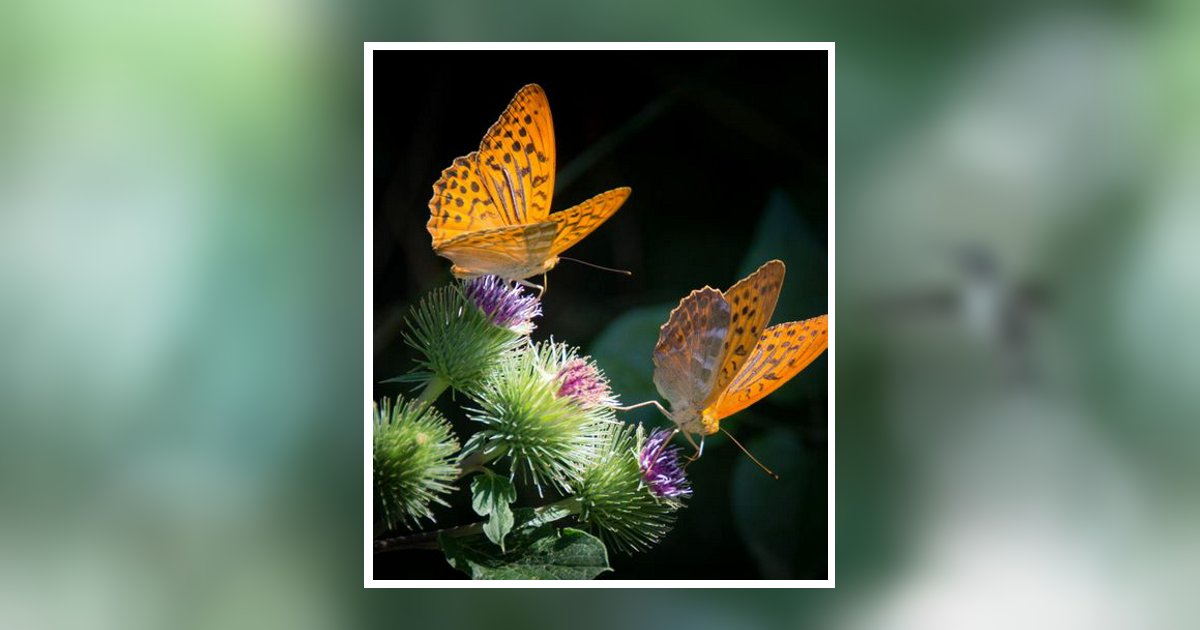 Catherine C. Word Obituary, San Antonio, TX