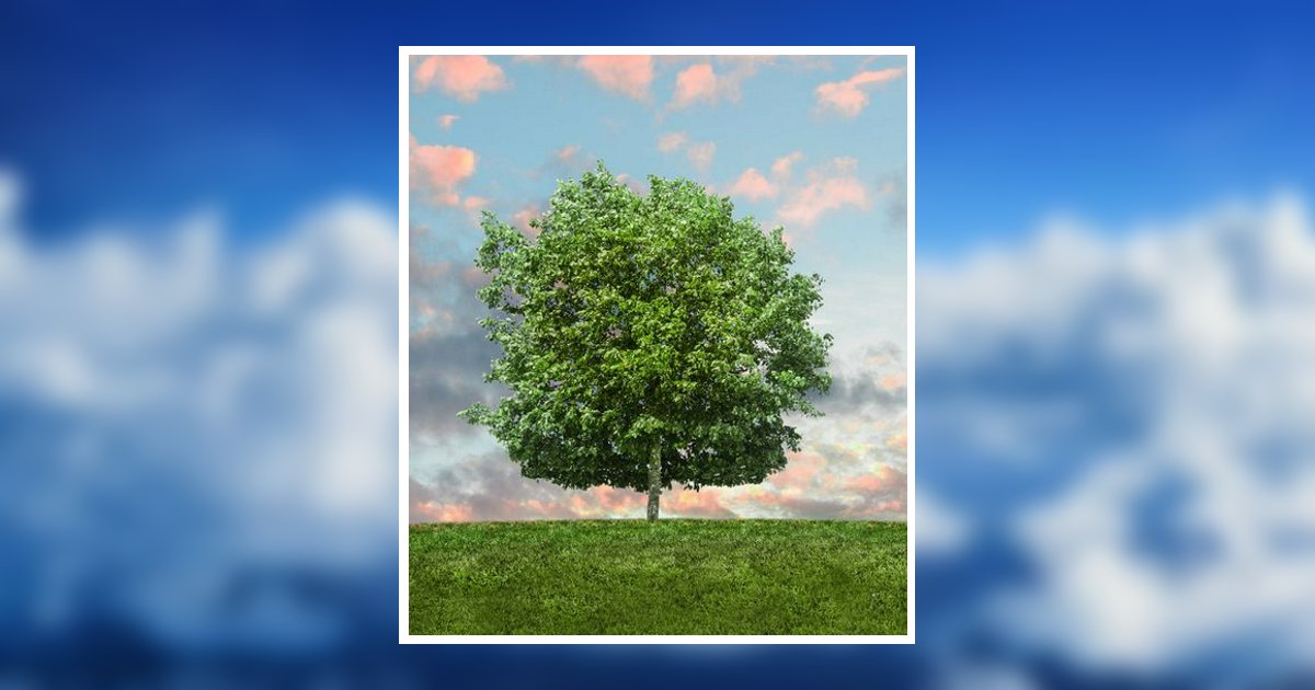 Kimberly Binninger Obituary, Waterford, WI