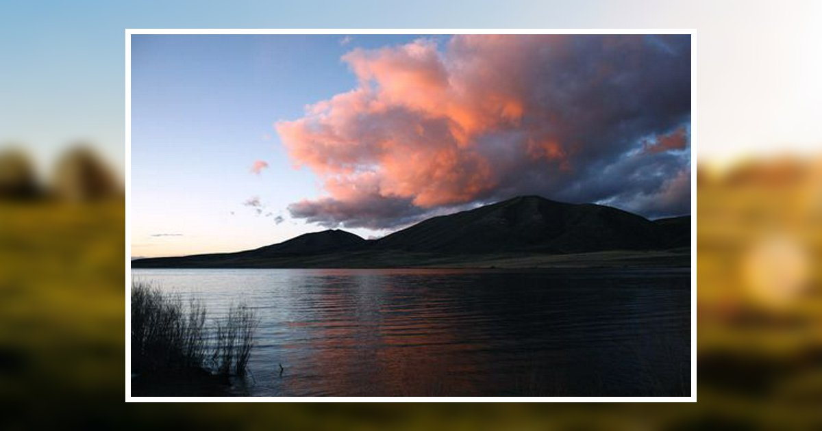 Donna Hamson Obituary 2020 Gillies Funeral Chapel