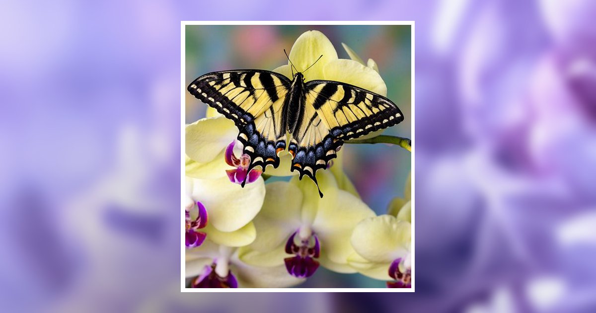 Dolores A. Alvarado Obituary, Loreauville, LA