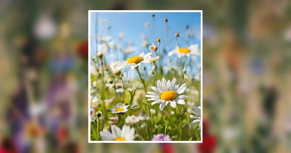 Sally Ann Marshall Copley, OH Obituary