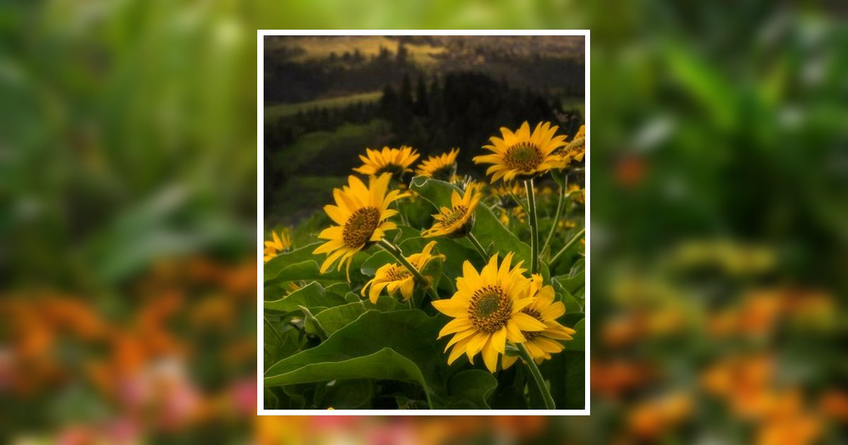 Mary Churchwell Obituary, Waterford, WI