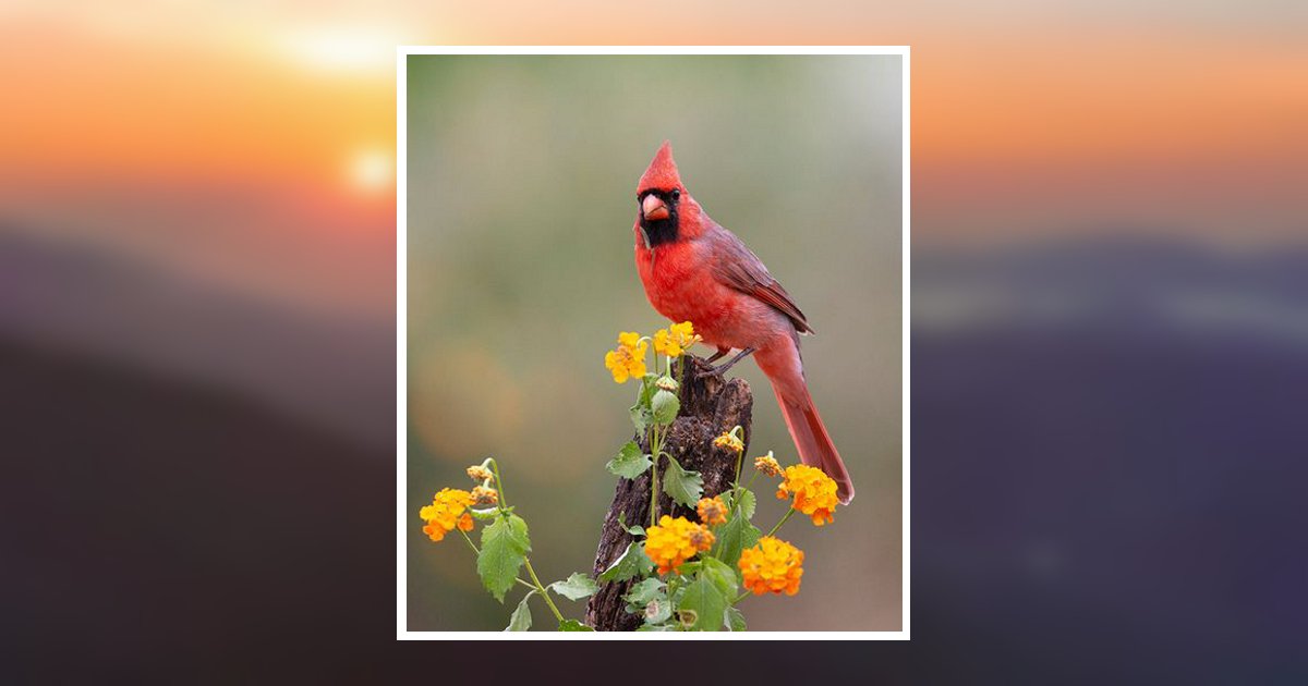 Shannon Edward Stevenson Obituary, Cheyenne, WY