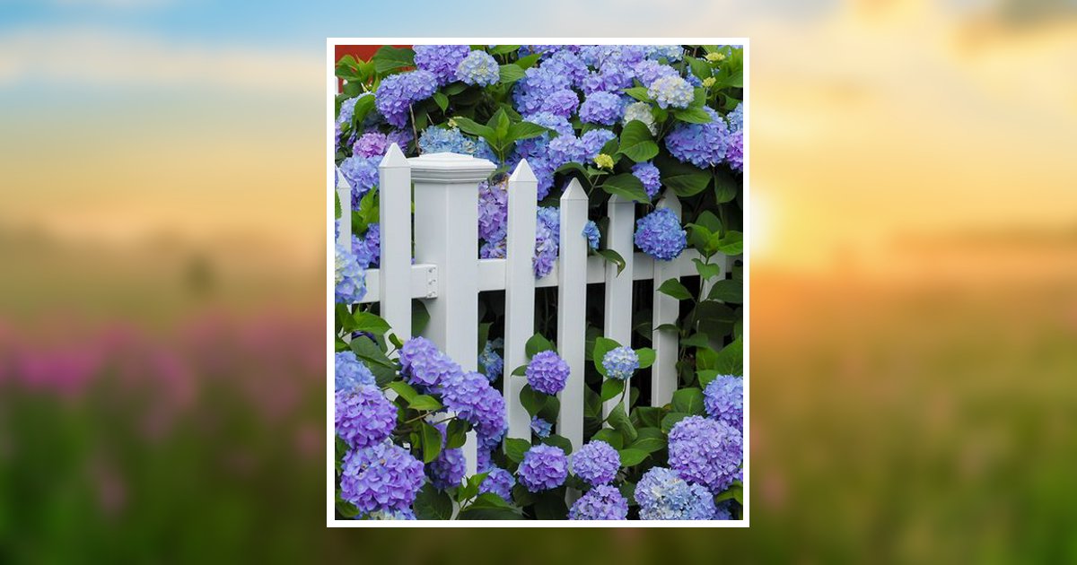 Dorothy Childress Obituary, Morehead City, NC