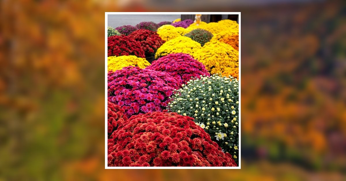 Twana Hubbard Obituary, Bowling Green, KY