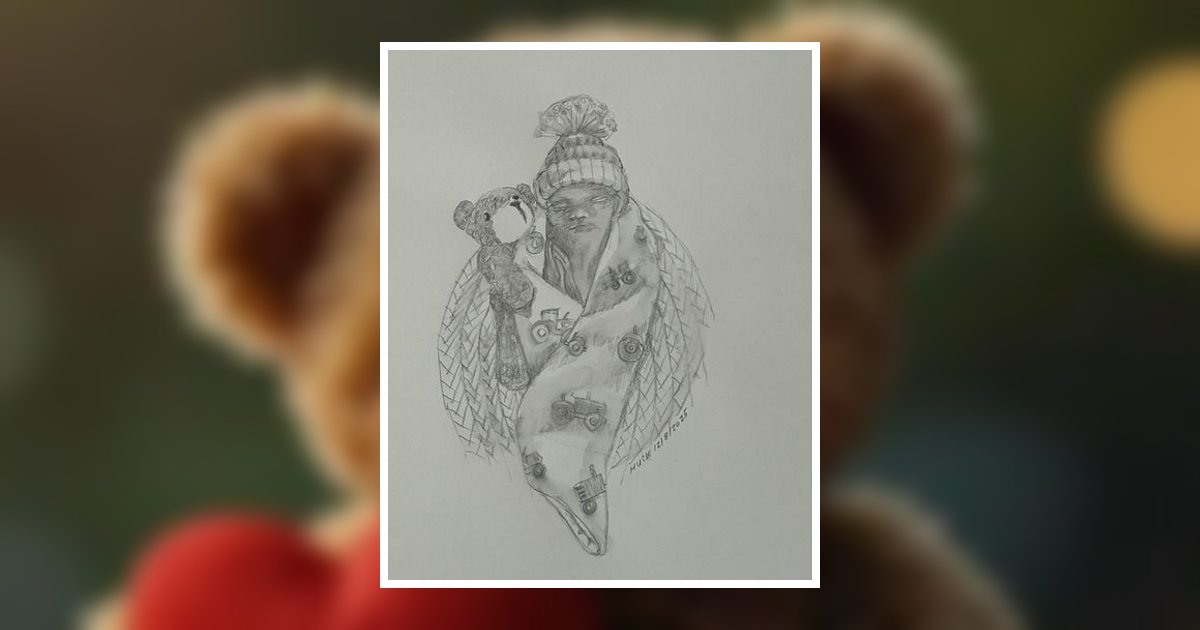 Huck Thomas Mcdonough Obituary, Berne, IN