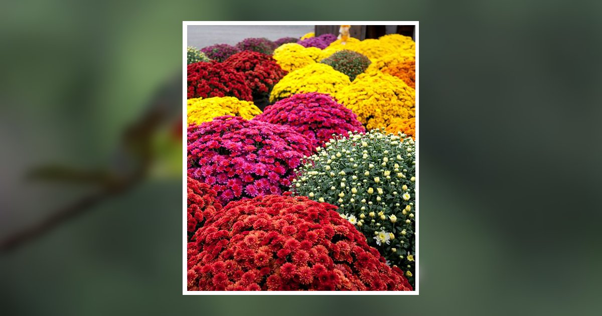 Sophia M. Uhl Obituary, Ridgway, PA