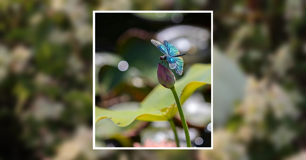 Geraldine Page Stephenson Benson, NC Obituary