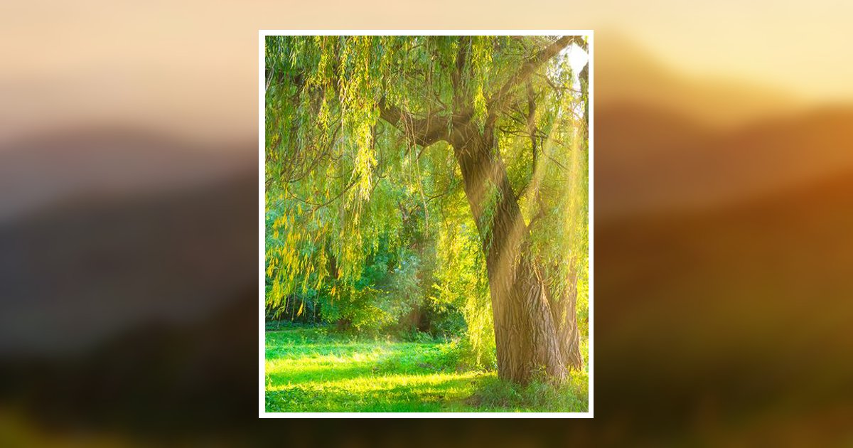 Irene L. Orsilli Obituary, Monessen, PA
