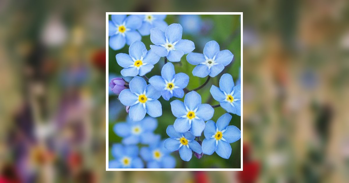 Jean Louise Calderwood Obituary, Williamsburg, PA