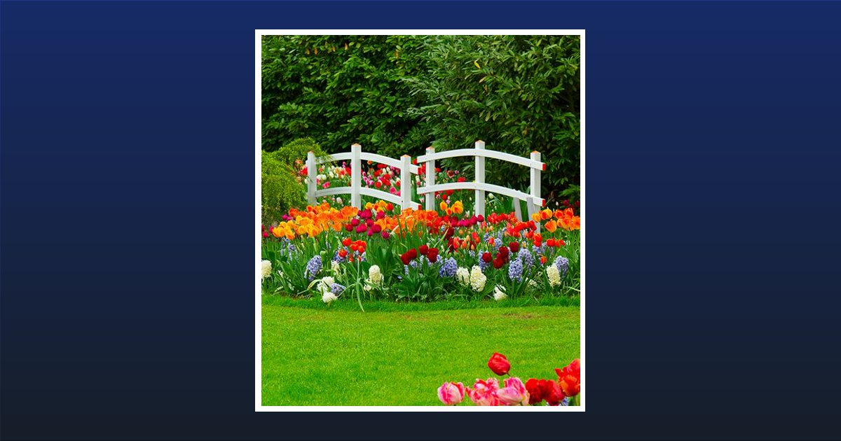 Portrait of Casey Nicole Wilson