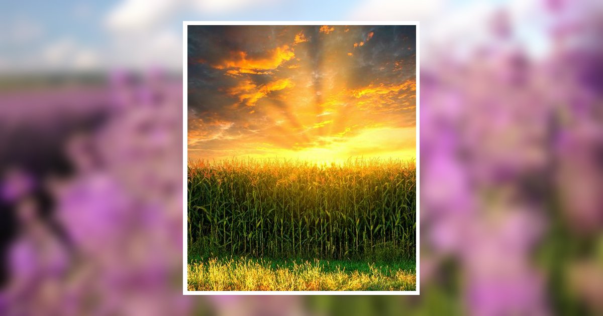 Picture Sonja Ramona Gunderson Sandpoint, ID Obituary