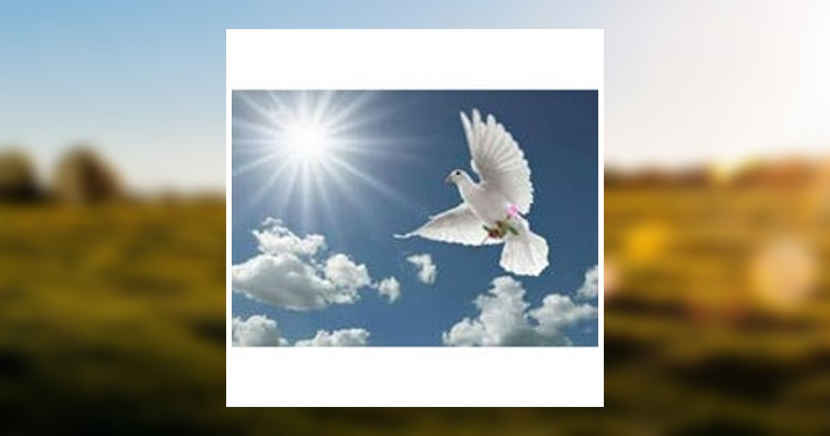 S. Young Obituary 2018 Baker McCullough Funeral Home and Cremation