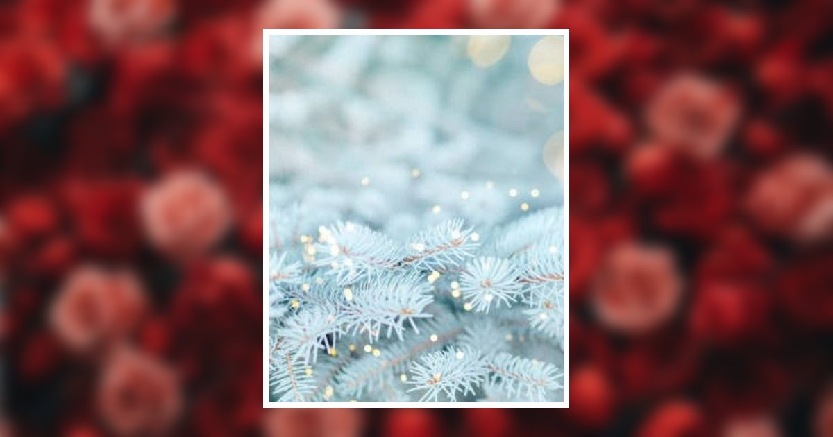 Shirley Banks Johnson Pembroke, VA Obituary