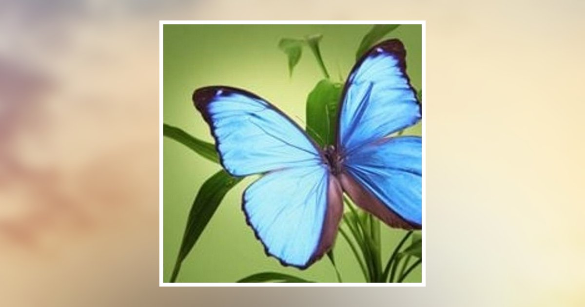 Gerald J. Faychak Dravosburg, PA Obituary