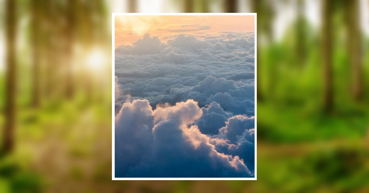 Edward "Ed" Trapani Obituary, Spring Hill, FL