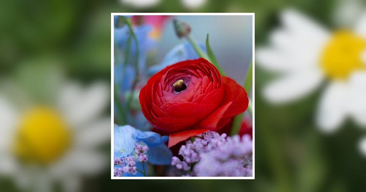Betty Lou Blosch Obituary, Garden City, ID