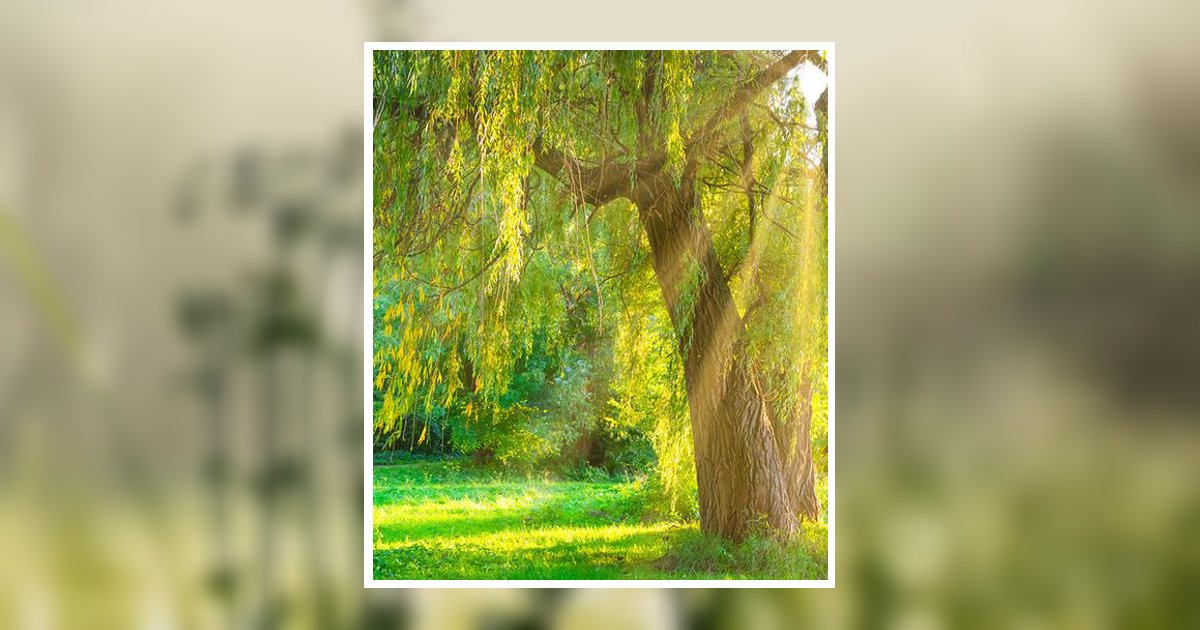 Portrait of Mary Jane "Mammy" Newman