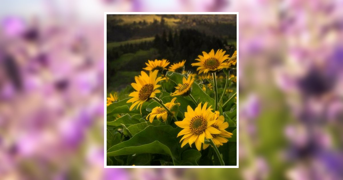 Helen I Gisoldi Obituary, Doylestown, PA