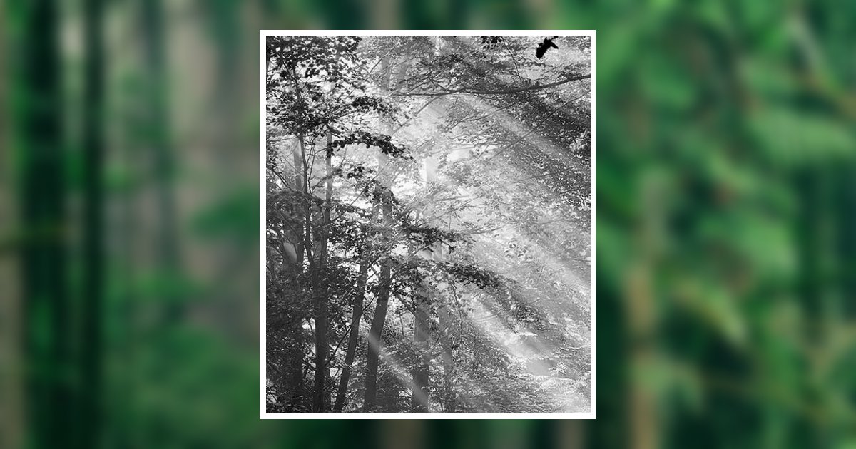 Michael J. Hullar Obituary February 26, 2026 - Krise Family Funeral Homes