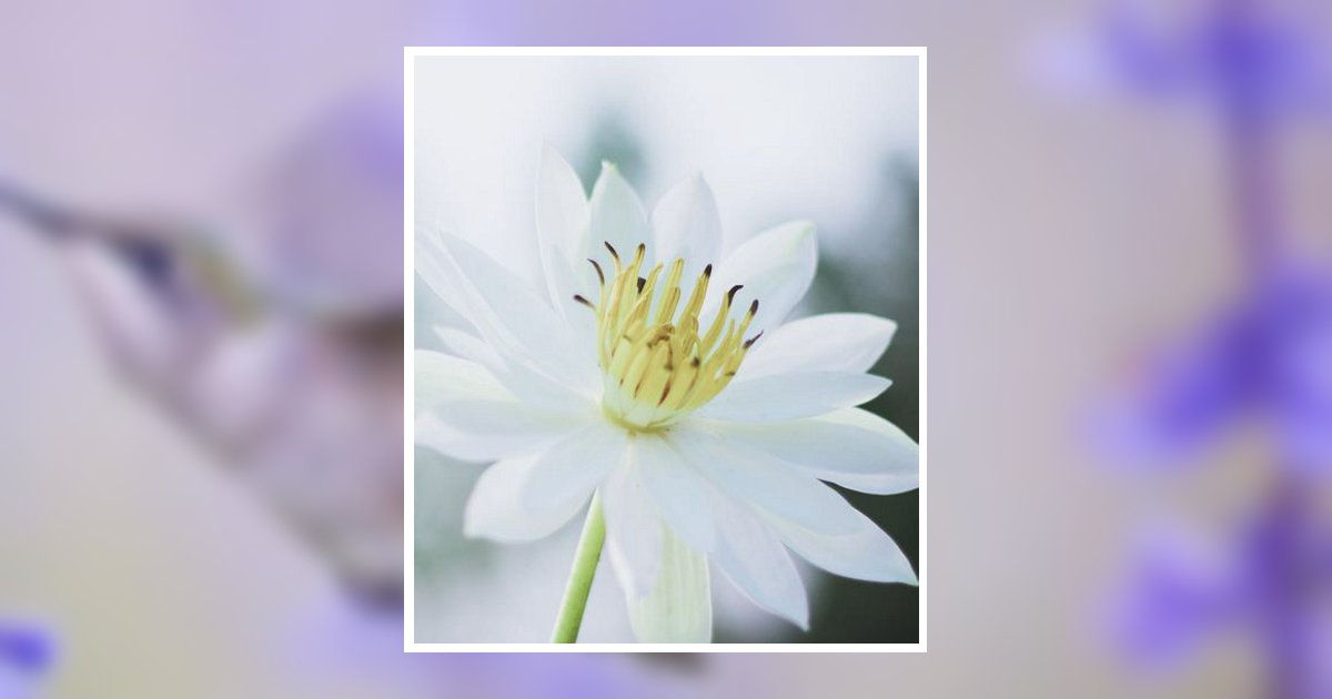 Peggy Diane Barnett Obituary August 23, 2024 - Pace - Stancil Funeral