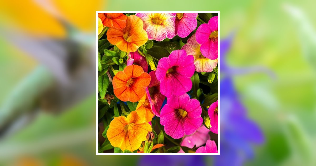 Marcella Margarita Espinoza Avondale, AZ Obituary