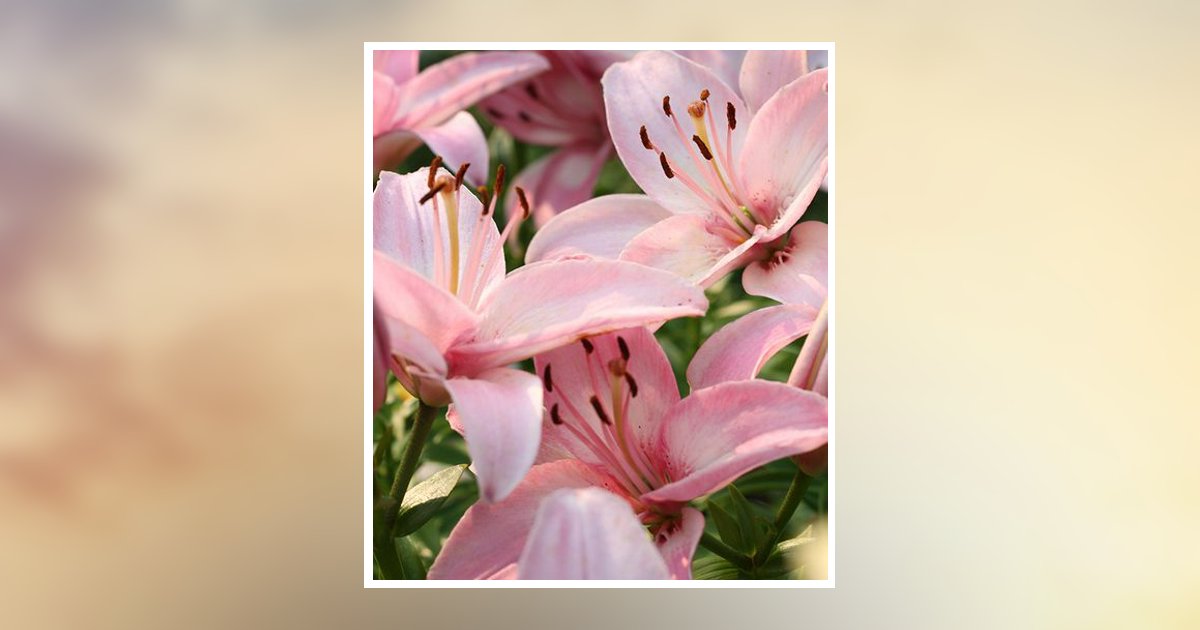 Judy Plunkey Tobias Obituary, Fairgrove, MI
