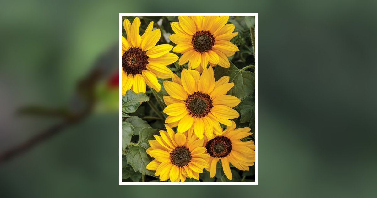 Portrait of Suzanne Camille Jones Lofton