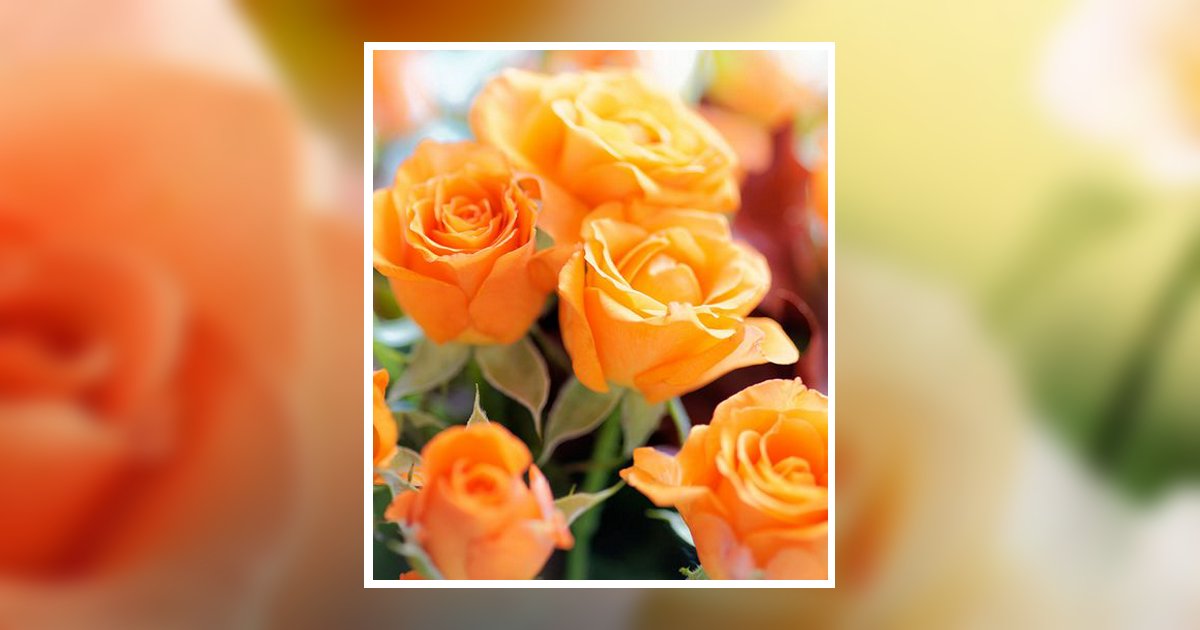 Donna Carlene Rollo Obituary, Ogden, UT