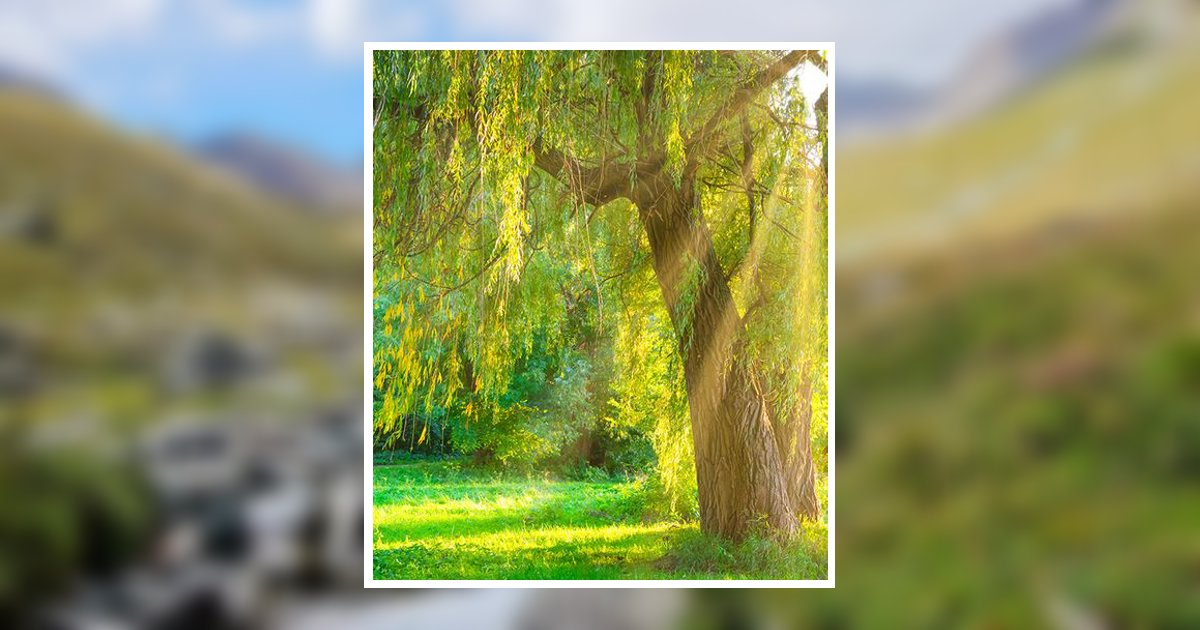 Robert Norris Gilbertson Obituary, Rushford, MN